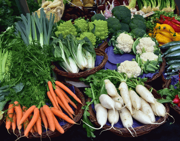 Agriculture. Le Ceser Bretagne se penche sur les enjeux alimentaires de 2050