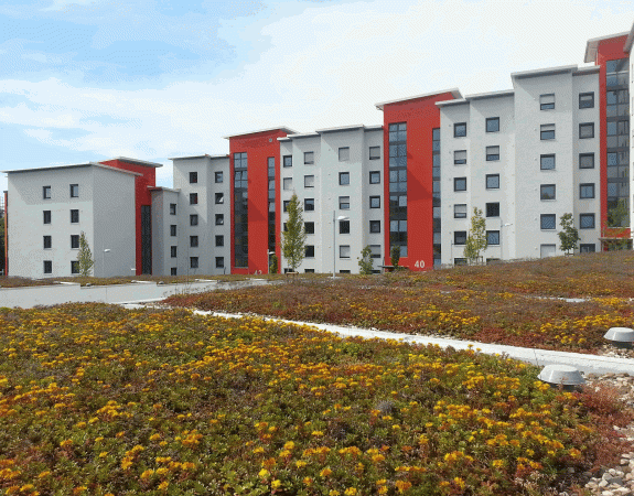 Bâtiment. Une formation CFA BTP / Soprema / Geiq BTP de Quimper d’étancheurs-bardeurs