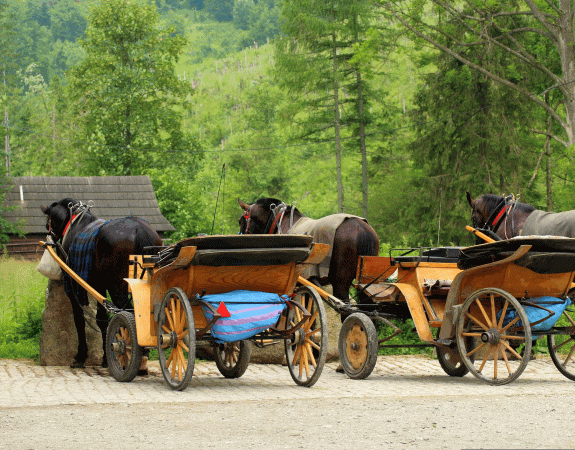 Hennebont se dote d’une école nationale du cheval territorial