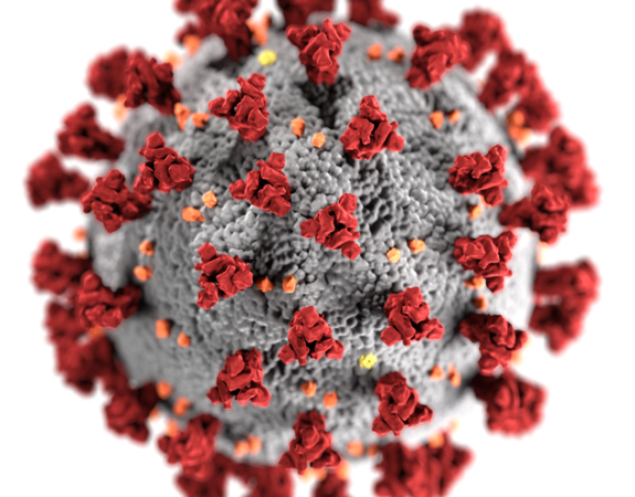 Coronavirus. Mesures pour les CFA