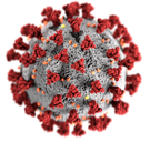 Coronavirus. Suspension de l’accueil dans les CFA et les organismes de formation et continuité d’activité à distance