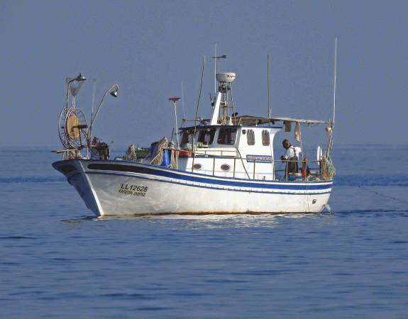 Quimper accueillera dès la rentrée prochaine un CAP Poissonnier