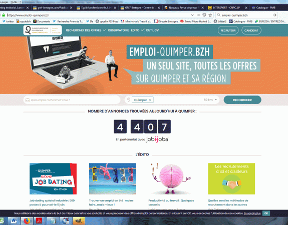 Marketing territorial. 4 500 emplois à pourvoir sur emploi-quimper.bzh