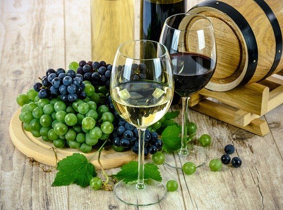 Viticulture. A Kerplouz, deux formations viticoles recrutent pour l’automne