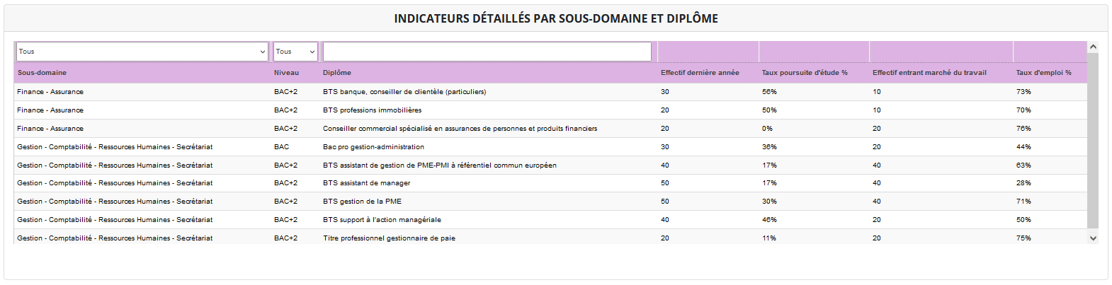 Indicateurs détaillés par sous-domaine et diplôme