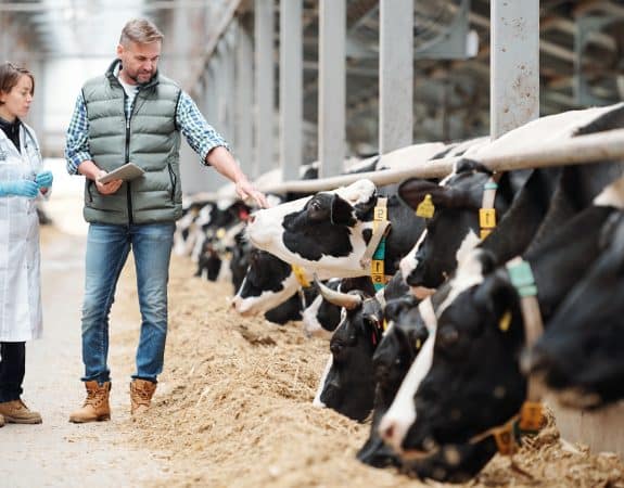 Agriculture. Plus de 80 métiers en Bretagne